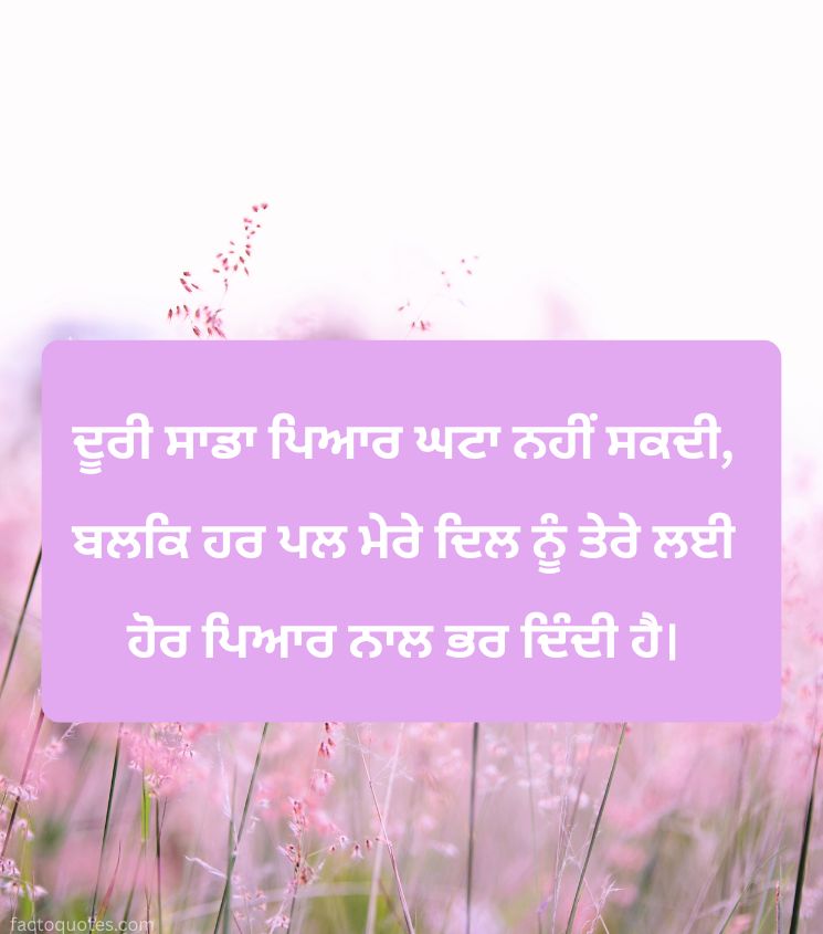 Miss You Status with Punjabi Lines