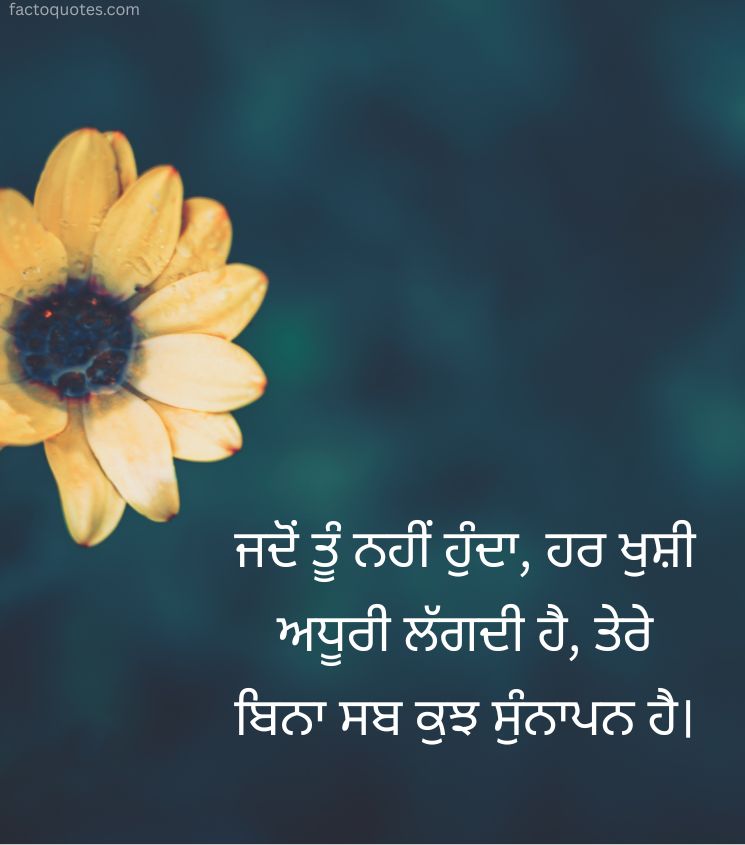 Miss You Quotes in Punjabi for Status