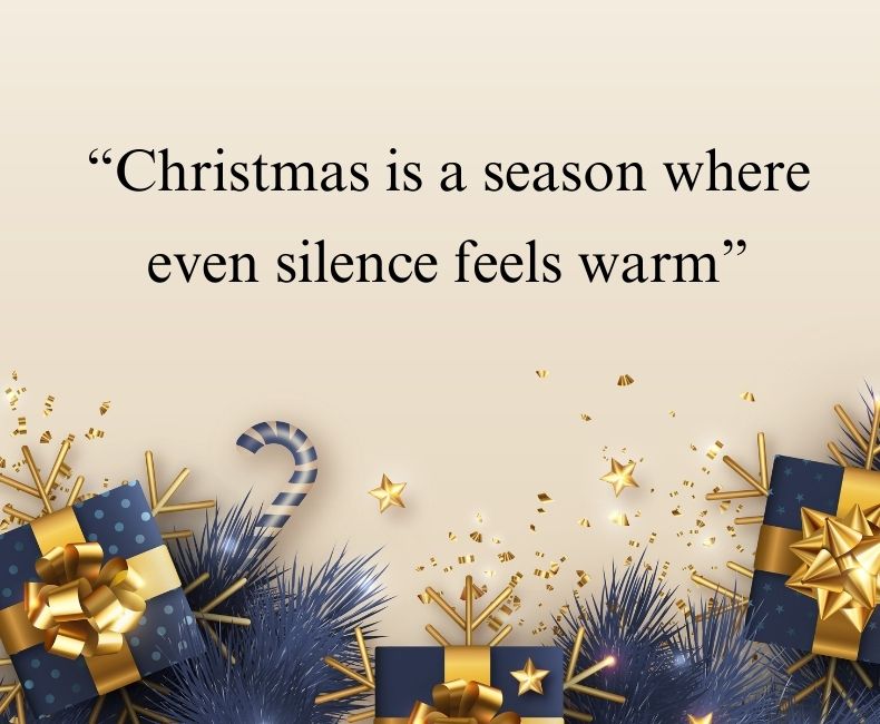 Merry Christmas Pics for Status