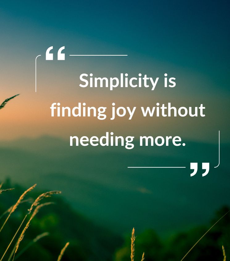 Simplicity Quotes for Status