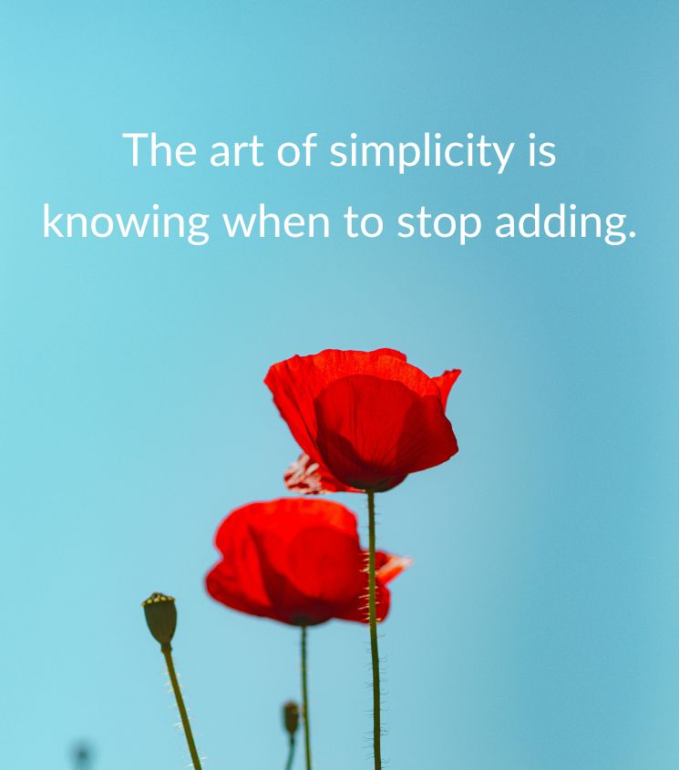Simplicity Quotes